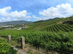 Al VIgneto Sestri Levante